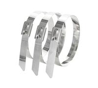 FDOSIJFOS Bridas de Acero Inoxidable, Bridas autoblocantes de Acero Inoxidable 304 Multiusos 7,9 mm for Cables, 10 Unidades(100mm)