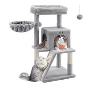 Árbol De Gato De Pendiente Lateral