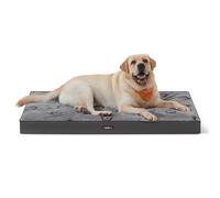 FEANDREA Cama para Perros, Impermeable, 120 x 74 x 10 cm | Cama para Mascotas, Espuma Corrugada Preformada, con Asa, Doble Cara, Extraíble, Gris Paloma, Colección BASCO PGW244G01
