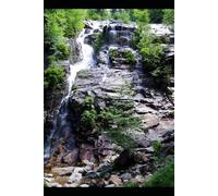 Fear Itself:: The Nature of Fear, and Its Value to the Human Race