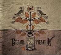 Feast of the Hunters' Moon by Black Prairie (2010) Audio CD