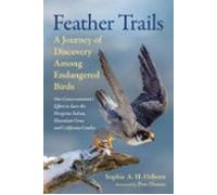Feather Trails