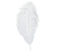 Feathers Soft And Comfortable To The Are Perfect For DIY Crafts Wedding Family Parties Christmas Decorations. Soporte para lápices (WH5 One Size)