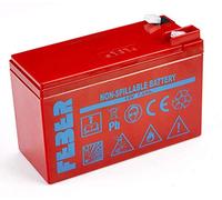 FEBER - Batería de Repuesto para Vehículos y Motocicletas Infantiles y Juguetes Eléctricos de 12V, Famosa (800003105)