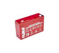 FEBER - Batería Recargable 6 V - 10 Ah (Famosa 800003103)