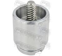 FEBEST Émbolo, pinza del freno para FORD: Transit/Tourneo, Connect, Courier (Ref: 2176-TTGR)