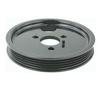 FEBEST FDDS-TT9 Polea, servobomba