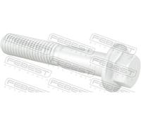 FEBEST Perno de fijación, brazo oscilante para FORD: Mondeo, C-Max, S-Max, Focus, Kuga & VOLVO: V50, XC 70, S40, S60, V40, C30, V70 (Ref: 2198-011)