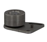 FEBI BILSTEIN 05613 Polea tensora, correa dentada