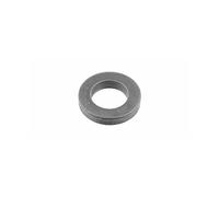 Febi-Bilstein 06300 Arandela, tornillo de culata