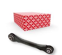 Brazo de control Eje trasero izquierda Brazo oscilante transversal 101697