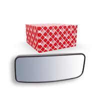 FEBI BILSTEIN 102563 Cristal de espejo, retrovisor exterior
