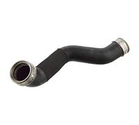 FEBI BILSTEIN 103925 Tubo flexible de aire de sobrealimentación