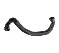 Ferdinand Bilstein Manguera de ventilación de cárter 108773 Tubo flexible 1 pieza