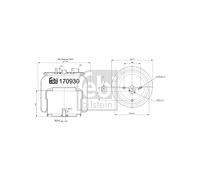 Febi bilstein 170930 - Fuelle con pistón de acero, 1 unidad