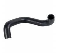 FEBI BILSTEIN 172579 Tubería de radiador