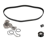 febi bilstein 172669 Correa Dentada