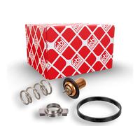 FEBI BILSTEIN 173111 Termostato, refrigerante