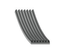 FEBI BILSTEIN 174115 Correa trapecial poli V