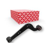 Brazo de control Eje trasero, derecha Brazo oscilante transversal 175087