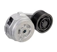 FEBI BILSTEIN 176027 Polea tensora, correa poli V