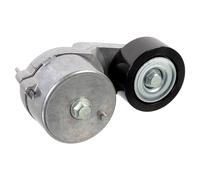 FEBI BILSTEIN 176960 Tensor de correa poli V