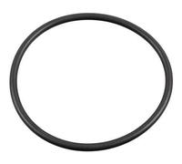 FEBI BILSTEIN 179379 Anillo retén cojinete de rueda