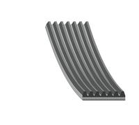 FEBI BILSTEIN 180048 Correa trapecial poli V