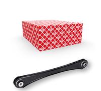 Brazo de control Eje trasero izquierda Brazo oscilante oblicuo 180562 para BMW