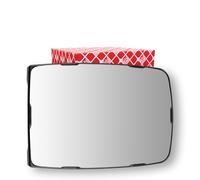 FEBI BILSTEIN 180610 Cristal de espejo, retrovisor exterior