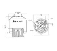 Dirección - Suspensión - Tren > Suspensión neumática > Fuelle, suspensión neumática