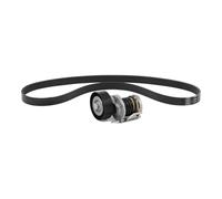 FEBI BILSTEIN 184894 Juego de correas trapeciales poli V