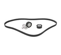 FEBI BILSTEIN 184895 Juego de correas trapeciales poli V