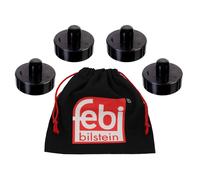 FEBI BILSTEIN 196121 Alojamiento, gato