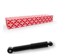 FEBI BILSTEIN 20487 Amortiguador