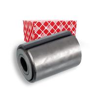 FEBI BILSTEIN 24443 Apoyos, ballesta