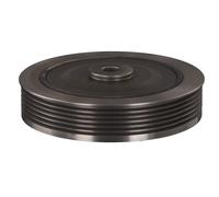 FEBI BILSTEIN 24934 Polea de cigüeñal