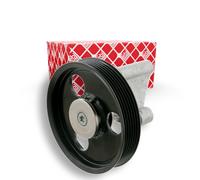 FEBI BILSTEIN Polea inversión/guía, correa auxiliar servicios para RENAULT: Duster, Clio, Kangoo, Mégane, Scénic, Modus & DACIA: Logan (Ref: 28287)