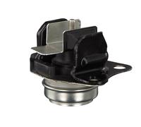 FEBI BILSTEIN 28325 Soporte de motor