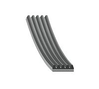 Febi-Bilstein 28888 Correa trapecial poli V