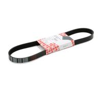 FEBI BILSTEIN 28903 Correa trapecial poli V