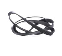 FEBI BILSTEIN 28953 Correa trapecial poli V