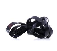 FEBI BILSTEIN 29007 Correa trapecial poli V