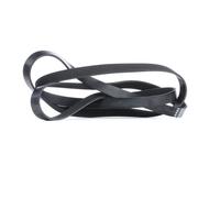 FEBI BILSTEIN 29023 Correa trapecial poli V para AUDI A6 C7 Avant (4G5, 4GD)