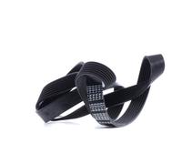 FEBI BILSTEIN 29030 Correa trapecial poli V