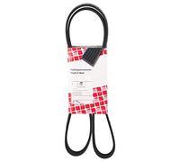 Febi bilstein 29057 Correa trapecial poli V