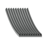 FEBI BILSTEIN 29106 Correa trapecial poli V