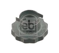 FEBI BILSTEIN 30028 Tuerca, Eje De Arrastre Para AUDI, SEAT, SKODA, VW