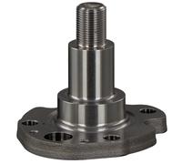 Dirección - Suspensión - Tren > Suspensión de Ejes > Muñón de eje, cuerpo del eje