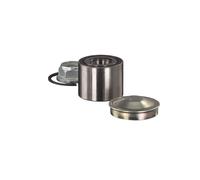 Dirección - Suspensión - Tren > Cubos y rodamientos > Cojinete de rueda